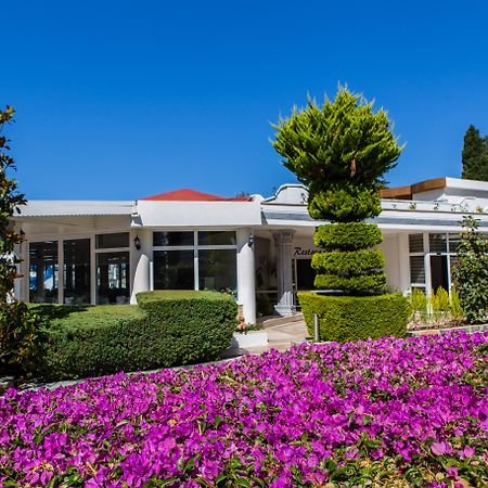 Golden Beach Bodrum Hotel Turgutreis Buitenkant foto