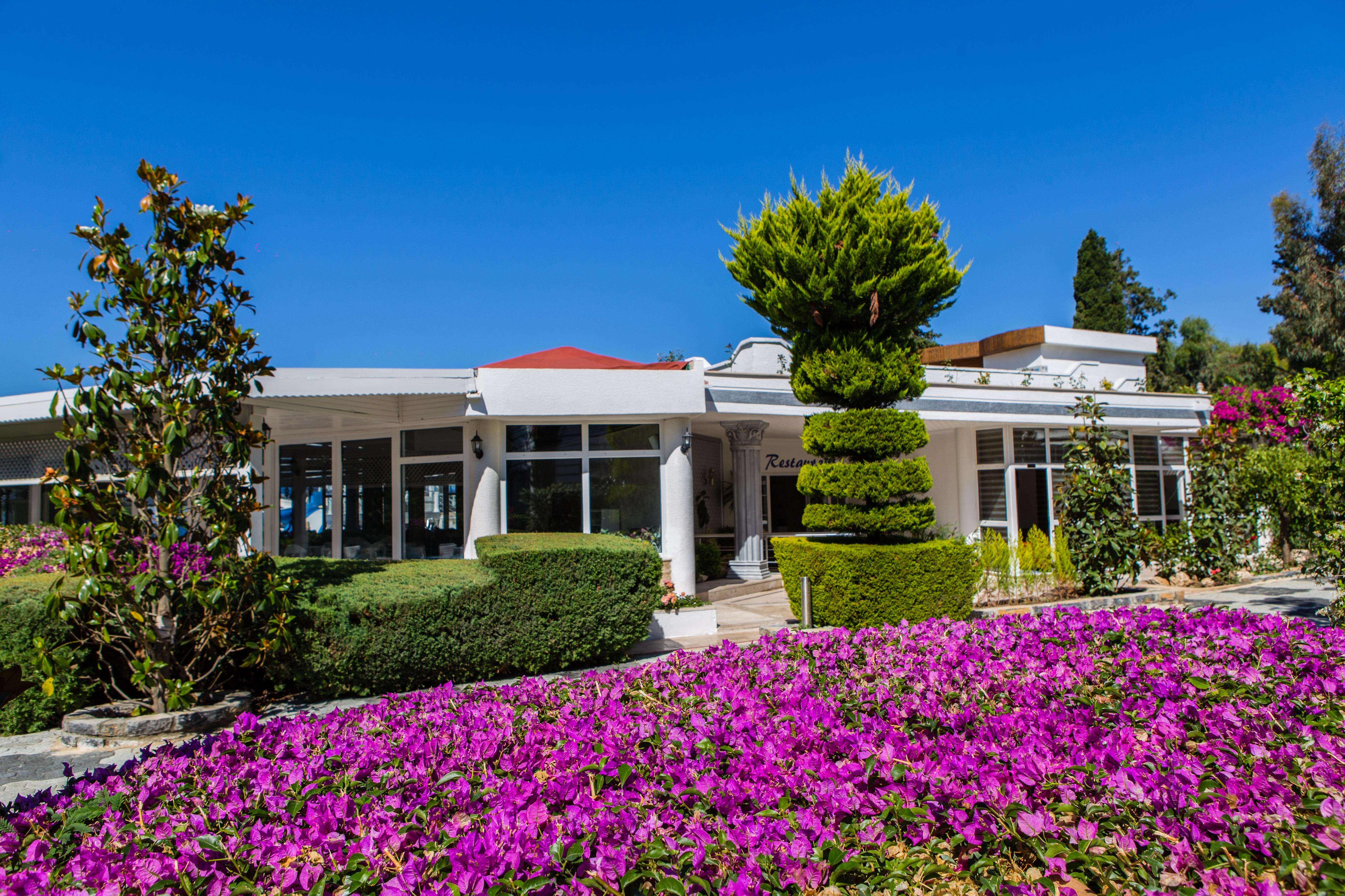 Golden Beach Bodrum Hotel Turgutreis Buitenkant foto